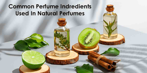 common perfume ingredients used in natural perfumes