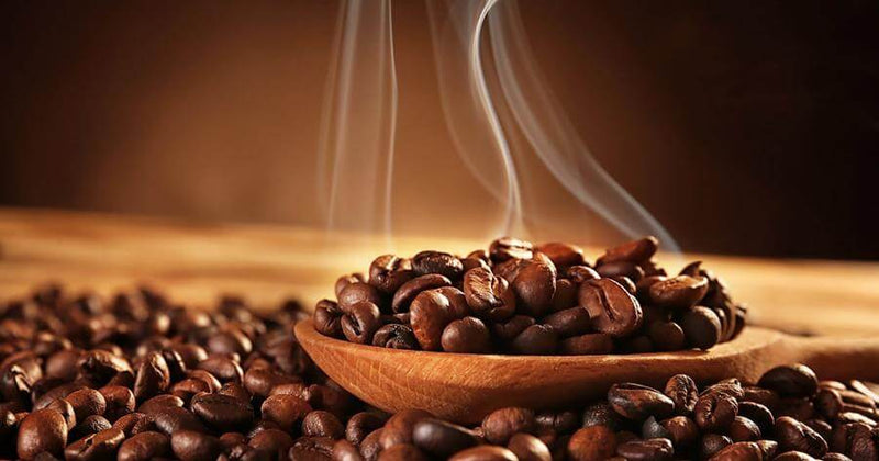 Coffee Beans Myths - The Aroma To Reset Your Sense of Smell